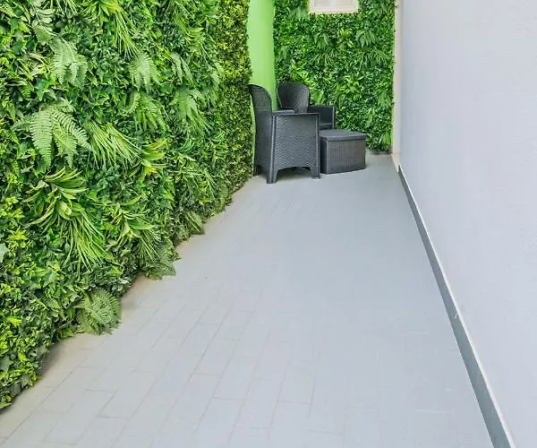 Mizar Rimini